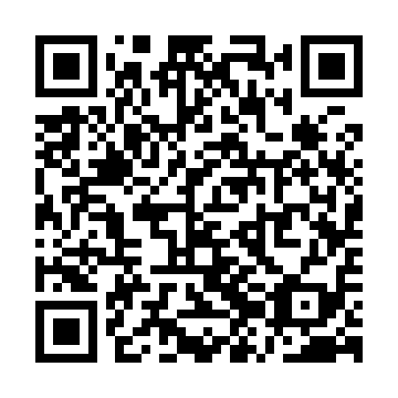 QR code for plate QZC 919