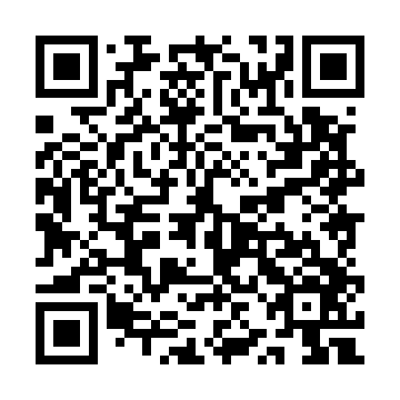 QR code for QZH 546