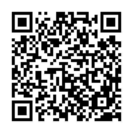 QR code for QZH 666