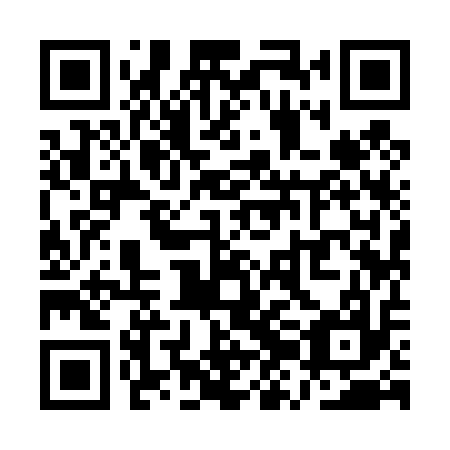 QR code for QZI 417
