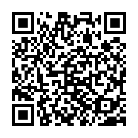 QR code for QZJ 539