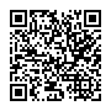 QR code for QZL 119