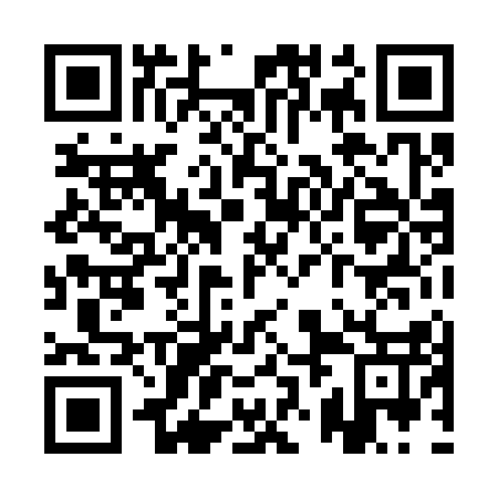 QR code for QZL 317