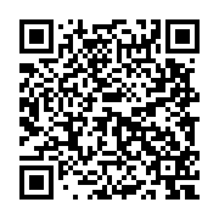 QR code for QZL 513