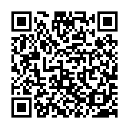 QR code for plate QZL 291