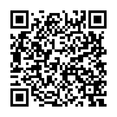 QR code for QZR 959
