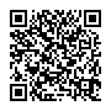 QR code for QZR881