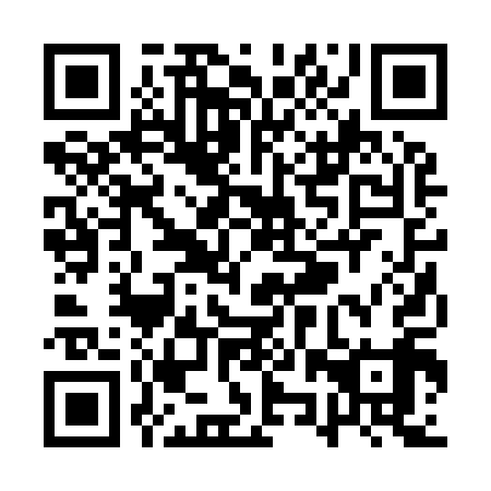 QR code for QZR919