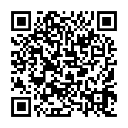 QR code for QZY 919