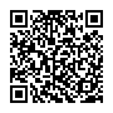 QR code for RAF 441