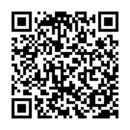 QR code for RAF385
