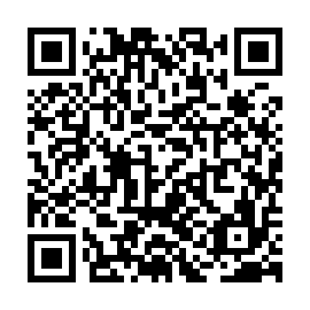 QR code for RAI 916