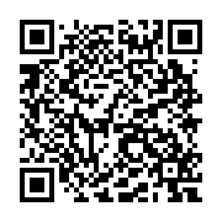 QR code for RAI317