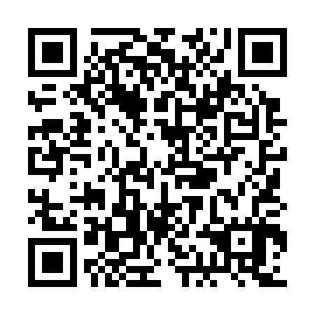 QR code for RAL 307