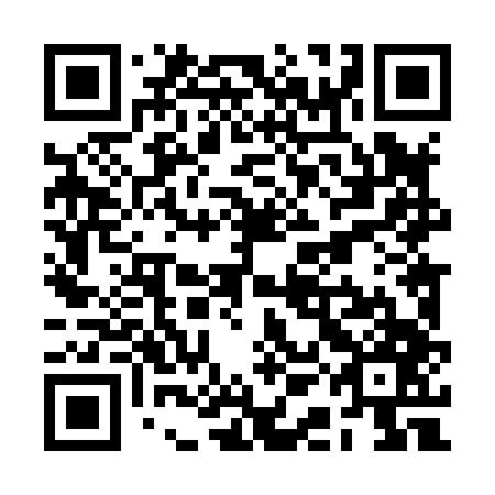 QR code for RAL 847