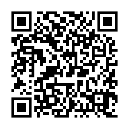 QR code for plate RAT 985