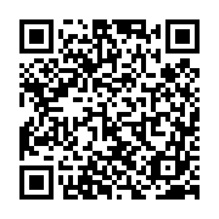 QR code for RAV 463