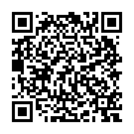 QR code for RAY 611