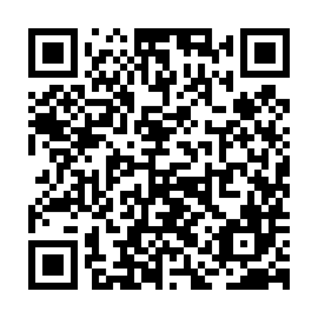QR code for RAY486