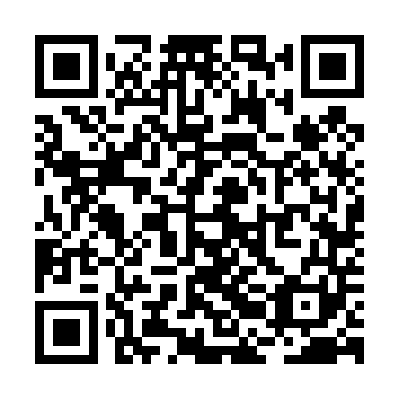 QR code for RBF 441