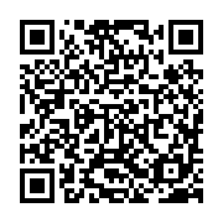 QR code for RBZ 295