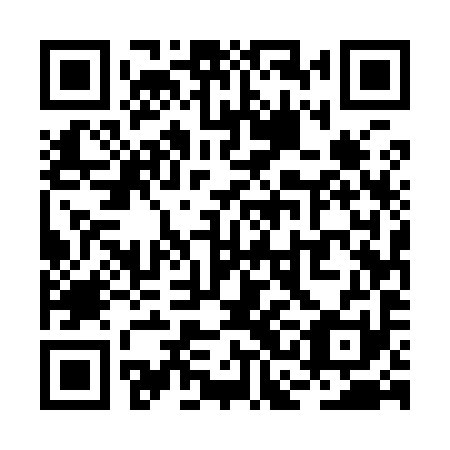 QR code for RCE 991