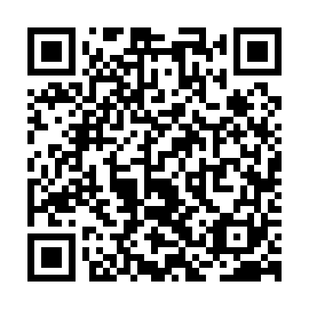 QR code for plate RCV 161