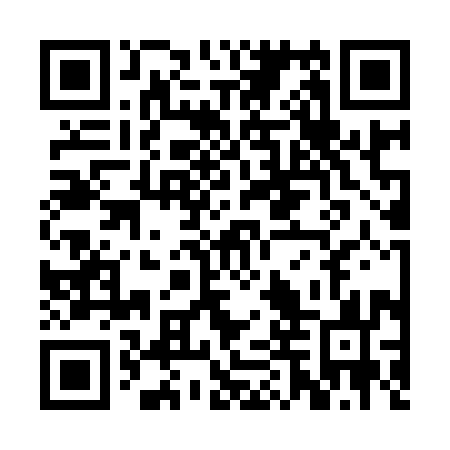 QR code for plate RDS 993