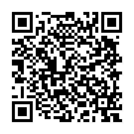 QR code for REI495