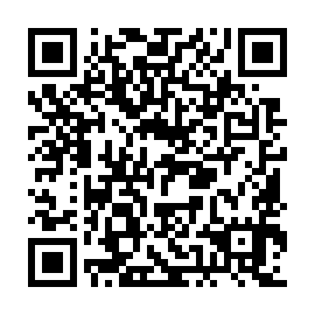 QR code for plate REM 795