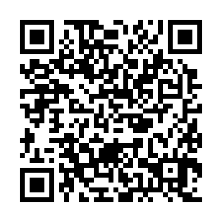 QR code for plate REV 384