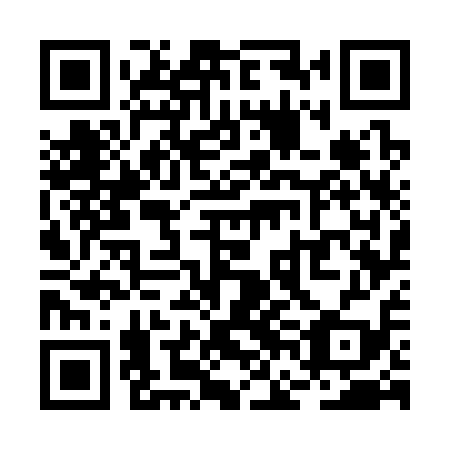 QR code for RFG 319