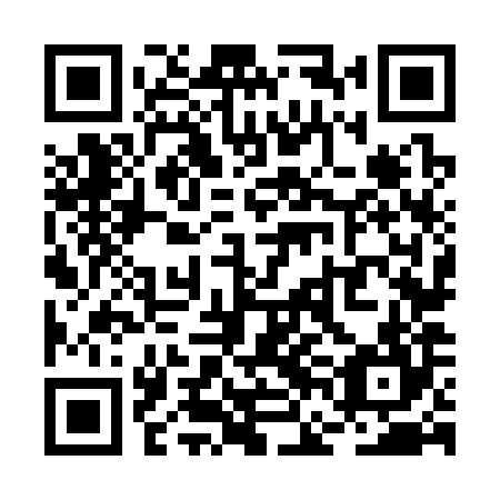 QR code for plate RFN 384