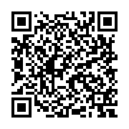 QR code for RFP 911