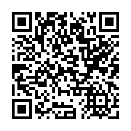 QR code for plate RFZ 384
