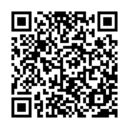 QR code for plate RGD 384