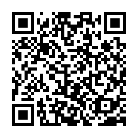 QR code for RGI 339
