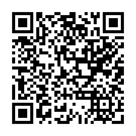 QR code for RGI386