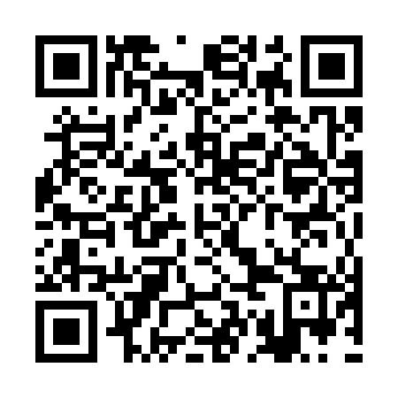 QR code for RGM 343