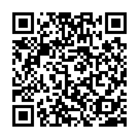 QR code for RGM 738