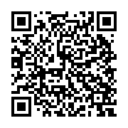 QR code for plate RGP 243