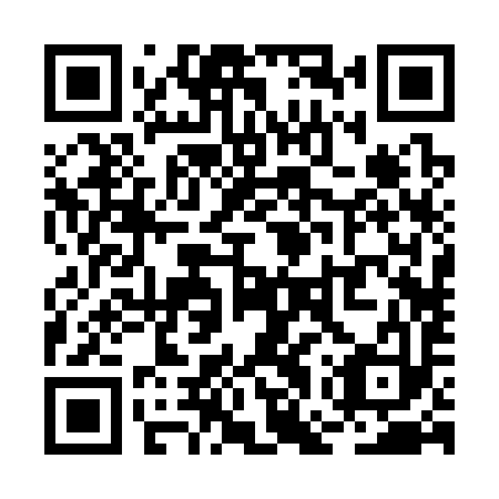 QR code for plate RGR 393