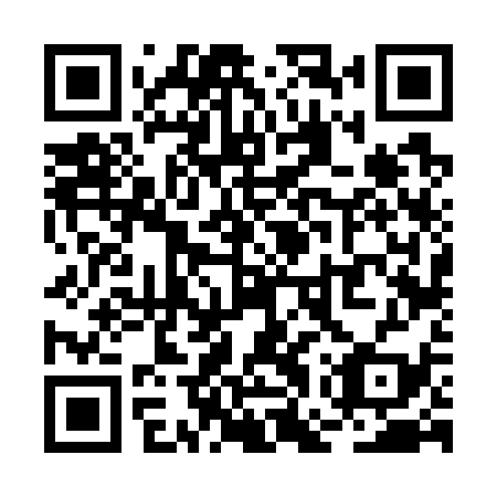 QR code for RGV 739
