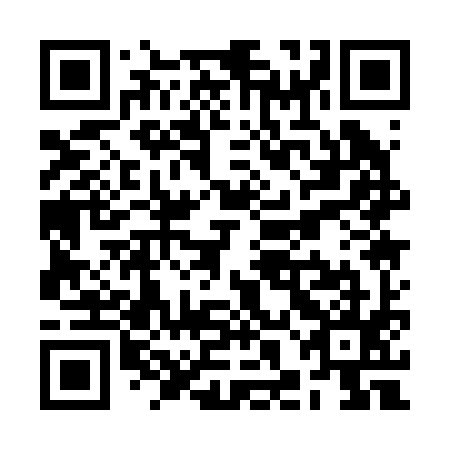 QR code for RHA 295