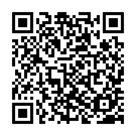 QR code for plate RHN 385