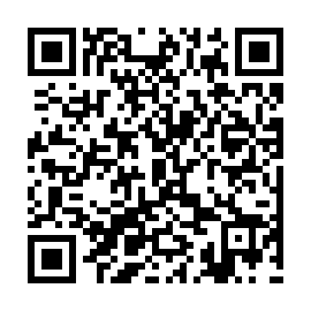 QR code for RIC228