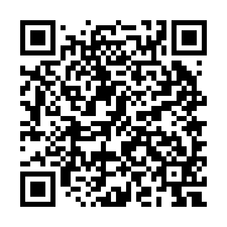 QR code for RIE 293