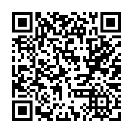 QR code for plate RIF 196