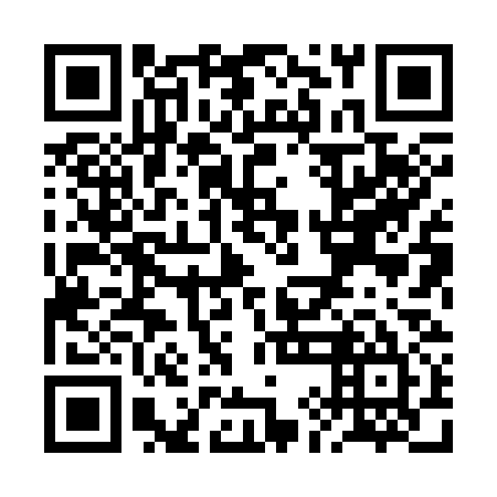 QR code for RIH 335