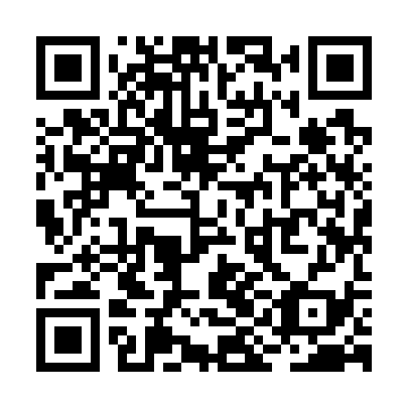 QR code for RII 739